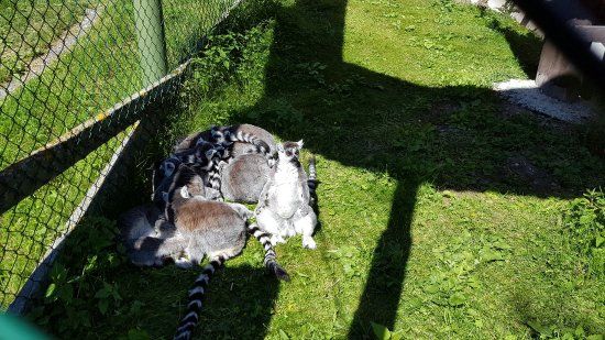Frösö Zoo