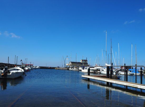 Barsebäcks Hamn