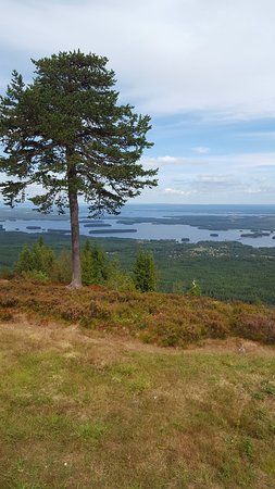 Gesundaberget
