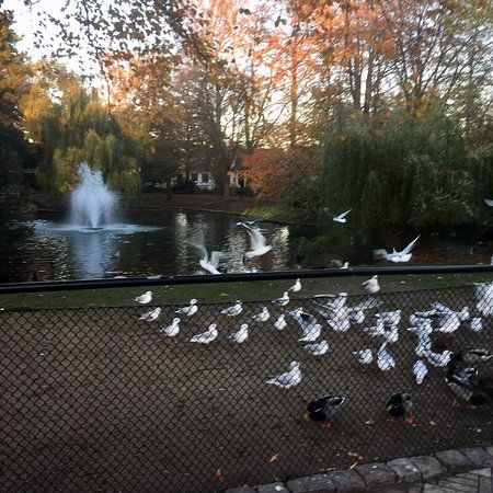 Stadsparken