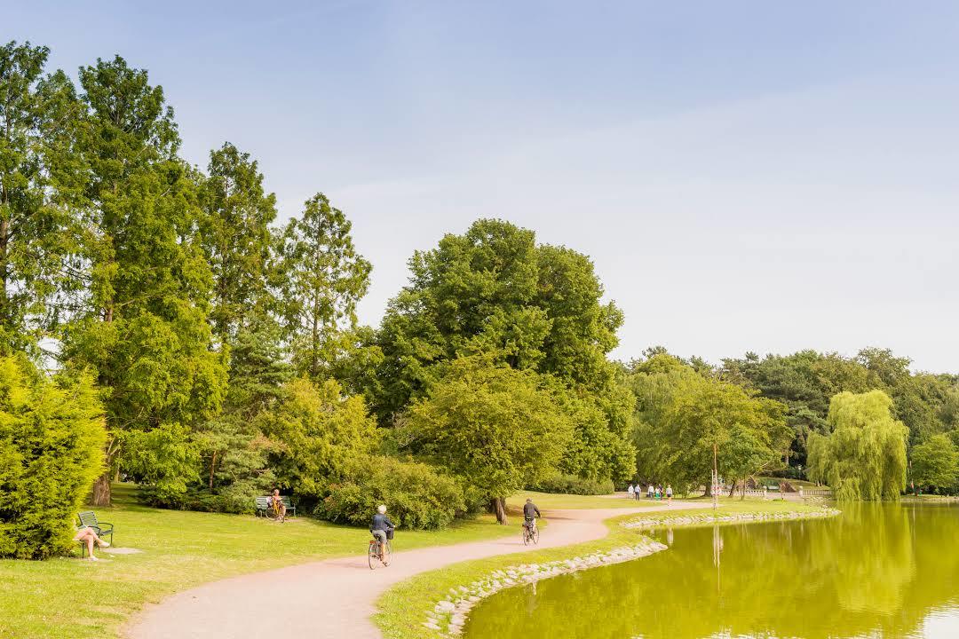 Kungsparken
