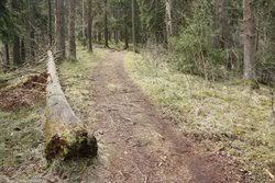 Fageruddsåsen