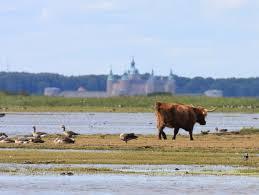 Beijershamn