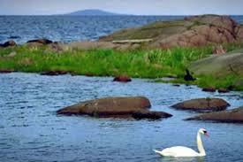 Ernemar