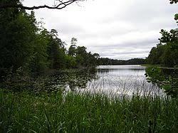 Hissö