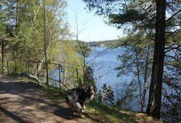 Långsjön