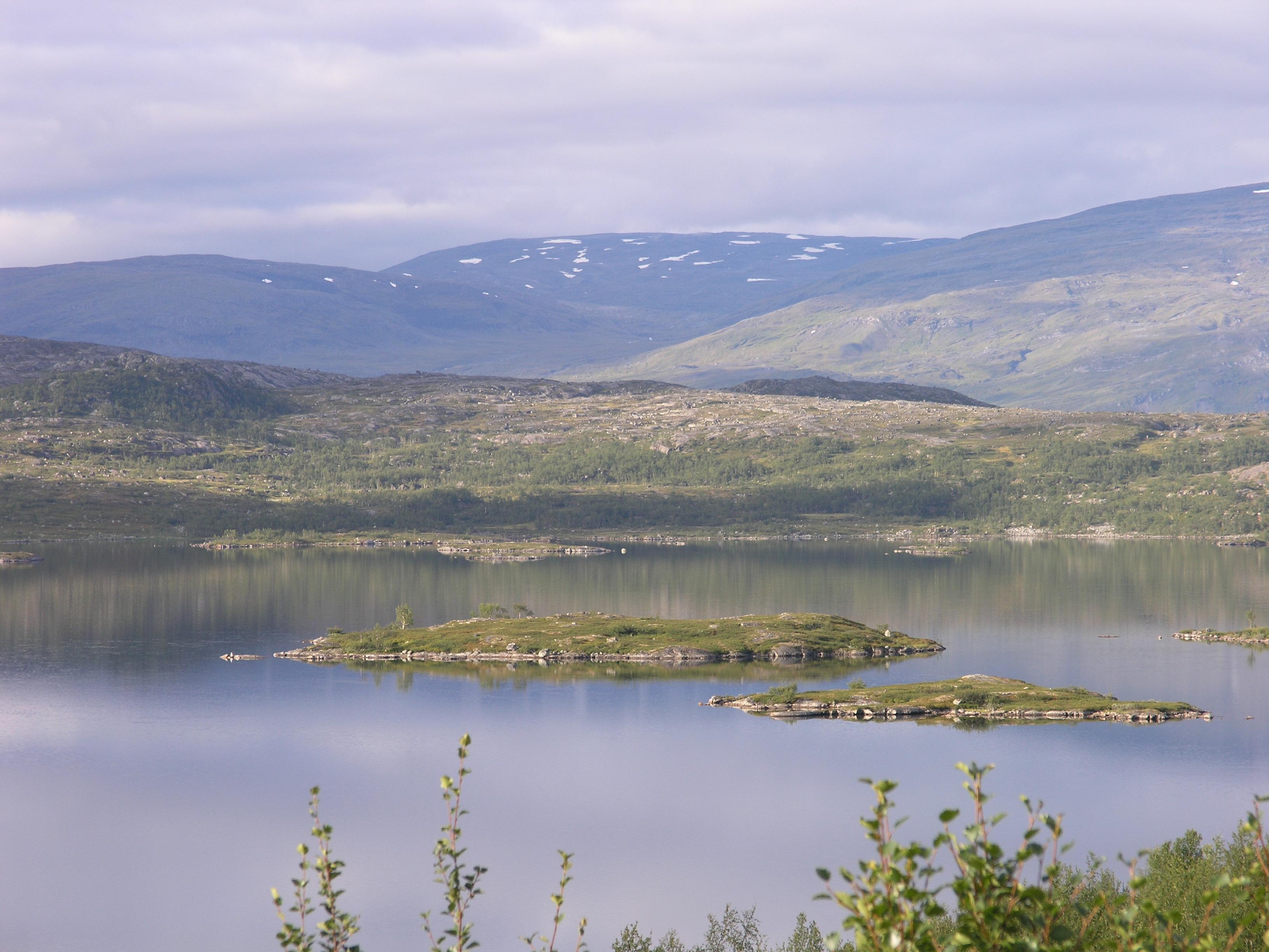 Vassijaure