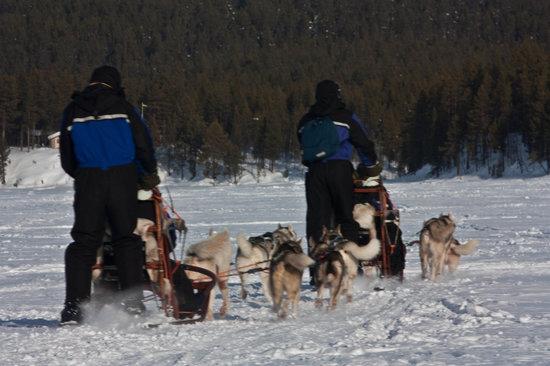 Jukkasjarvi VildmarksTurer AB