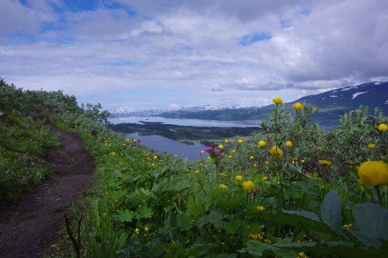 Padjelantaleden
