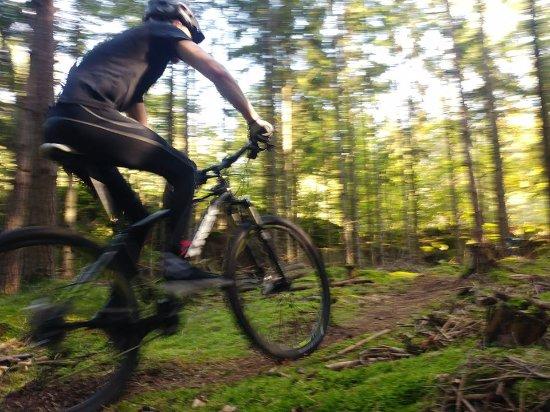 Cykelslingor i Lingonbacken