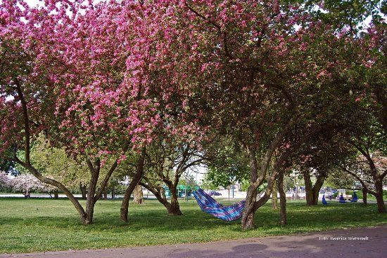 Stadsparken