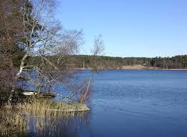 Flatens naturreservat