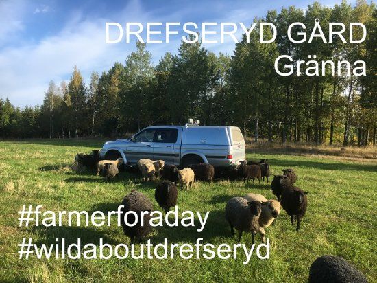 Drefseryd Gård